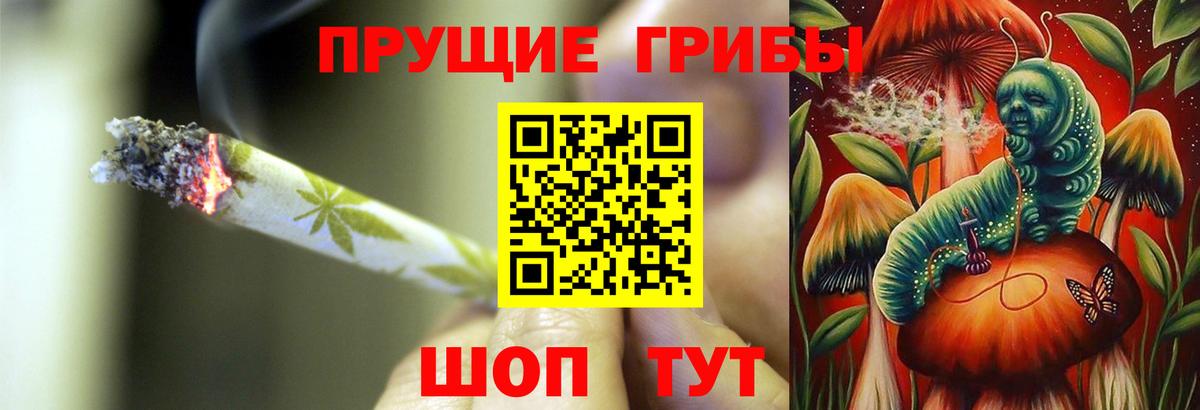 Галлюциногенные грибы Psilocybine cubensis Краснотурьинск